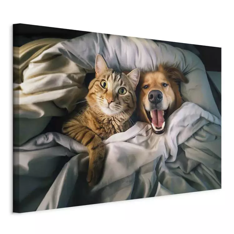 AI Golden Retriever und Katze - Haustiere im Bett - horizontal