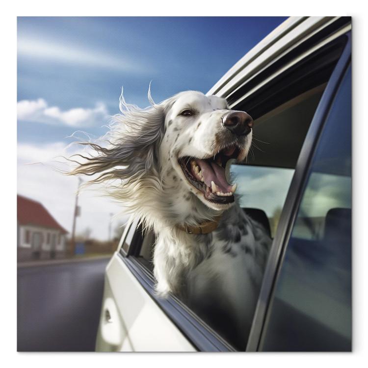 AI Dog English Setter - Animal Catching Air Rush While Traveling by Car - Square
