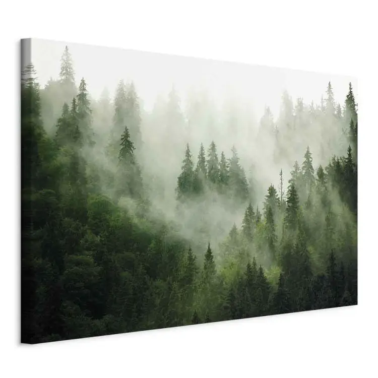 Bergwald - Blick auf grüne, nebelverhangene Nadelbäume