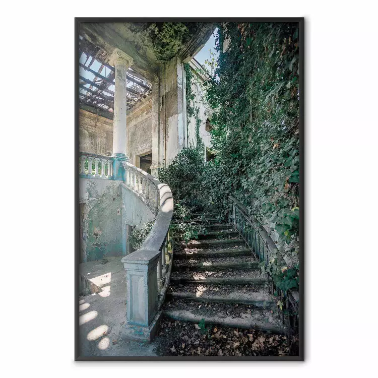 Überwuchertes Treppenhaus - verlassene Treppe, viel Grünzeug