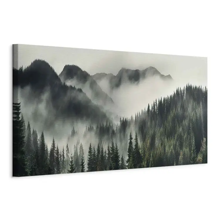 Geheimnisvolle Taiga - Nadelwald im Morgennebel