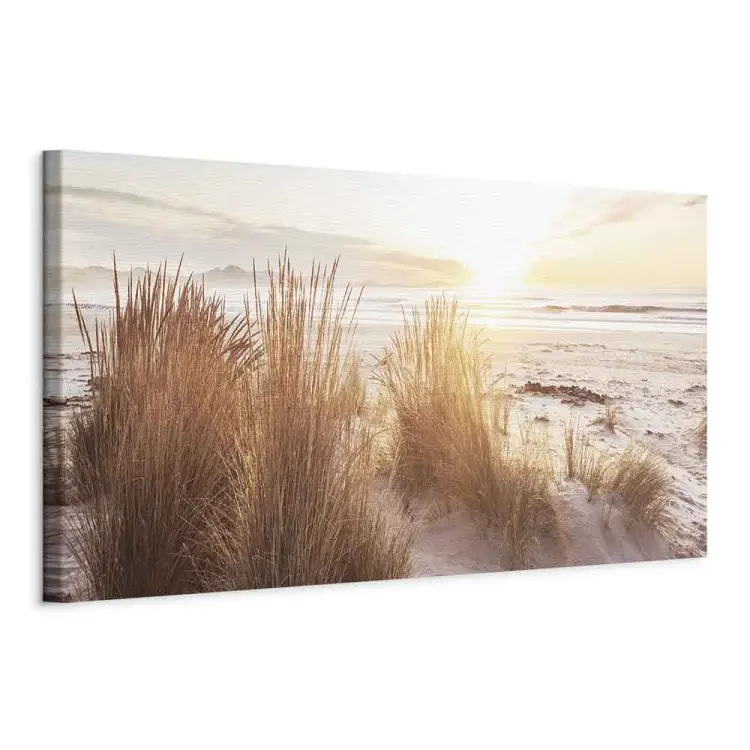 Sandstrand - Gräser auf den Dünen bei Sonnenuntergang