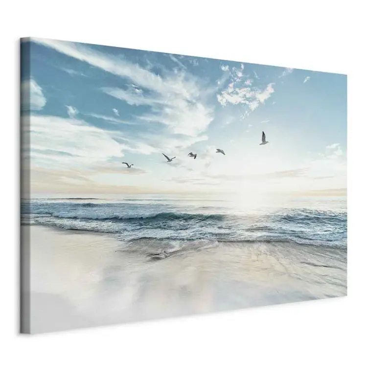 Morgen am Meer - Wellen schlagen an den Strand, Vögel am Himmel