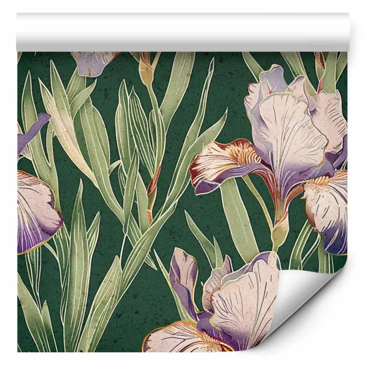 Florale Zeichnungen - zarte violette Iris auf dunkelgrünem Hintergrund