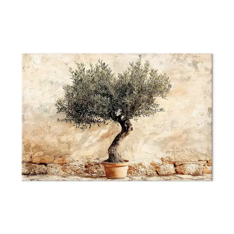 Mediterranes Flair - Olivenbaum vor beigem Mauerwerk
