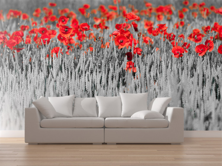 Vliestapete Rote Mohnblumen auf schwarz-weißem Getreide - Abstrakt kontrastreich 60400