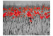 Vliestapete Rote Mohnblumen auf schwarz-weißem Getreide - Abstrakt kontrastreich 60400 additionalThumb 1