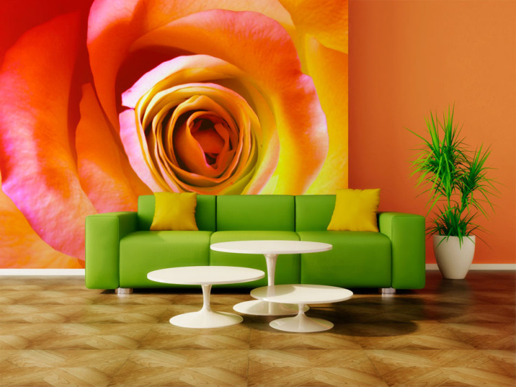 Fototapete Wüstenrose - Nahansicht einer Rosenblüte in energetischen Farben 60330