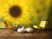 Fototapete Sonnenblume - Nahaufnahme einer Blume auf Sonnenblumenfeld 60730