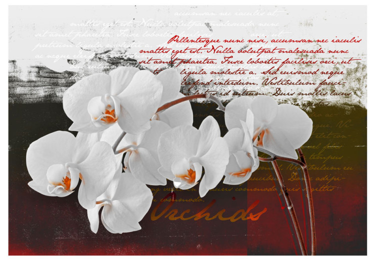Vlies Fototapete Tagebuch und Orchideen - Blumenmotiv mit Aufschriften im Hintergrund 60240 additionalImage 1