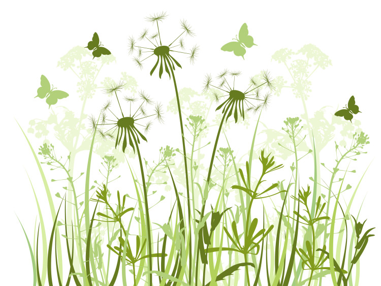 Vliestapete Pusteblumen und Schmetterlinge - Minimalistisches Blumenmotiv in hell 60740