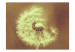 Vliestapete Pusteblume (Sepia) - Nahaufnahme Pusteblume einfarbiger Hintergrund 60650 additionalThumb 1