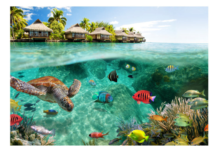 Vlies Fototapete Paradiesliche Malediven - Korallenriff mit Fischen und Schildkröten 61250 additionalImage 1