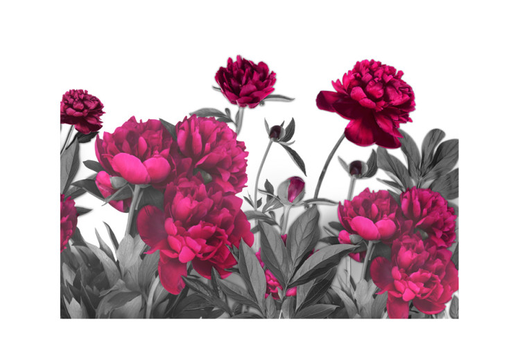 Fototapete Üppige Wiese - natürliche und bunte Blumen auf hellem Hintergrund 60480 additionalImage 1