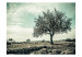 Vliestapete Vintage-Baum - ländliche Landschaft mit Baum und Himmel in Sepia 59911 additionalThumb 1
