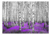 Vliestapete Purpurnes Asyl - Landschaft mit hohen Bäumen im Wald und buntem Akzent 60531 additionalThumb 1