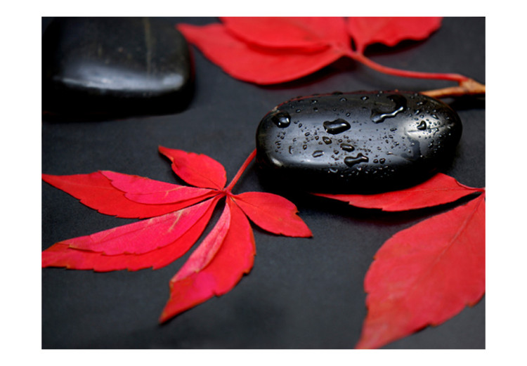 Vliestapete Intensität der Schattierungen - rote Blätter und  schwarze Steine 59841 additionalImage 1