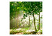 Vlies Fototapete Wald - Sommer und Waldlandschaft mit Bäumen voller grüner Blätter 60541 additionalThumb 1
