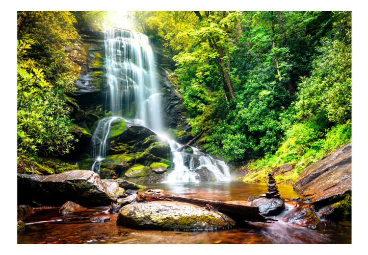 Vliestapete Natürliches Wunder - Wasserfall der in einem Wald über Felsen fließt 60061 additionalImage 1