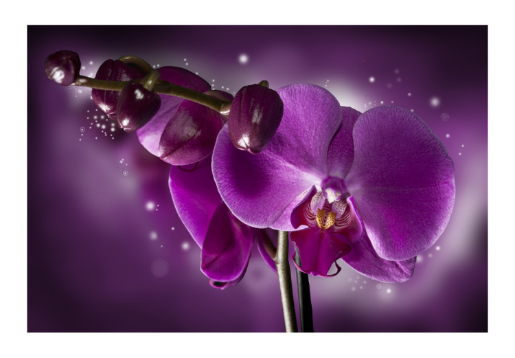 Vlies Fototapete Märchen und Orchidee - Fantasie mit fliederfarbenem Blumenmotiv 60191 additionalImage 1
