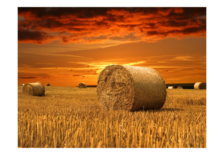 Fototapete Goldene Felder - Landschaft eines Dorfes bei Sonnenuntergang 60291 additionalImage 1