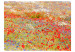Vlies Fototapete Mohnblumen und Kornblumenwiese - Landschaft mit Gräsern und Blumen 60391 additionalThumb 1