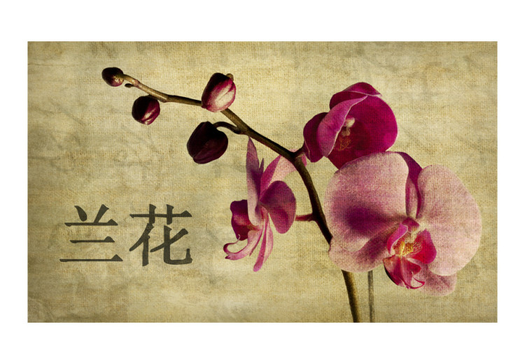 Vlies Fototapete Japanese orchid 60232 additionalImage 1