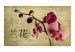 Vlies Fototapete Japanese orchid 60232 additionalThumb 1