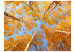 Vliestapete Autumnal treetops 60532 additionalThumb 1