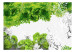 Fototapete Frühlingsfarben Grün - Pflanzen und Schmetterlinge auf Weiß 60742 additionalThumb 1