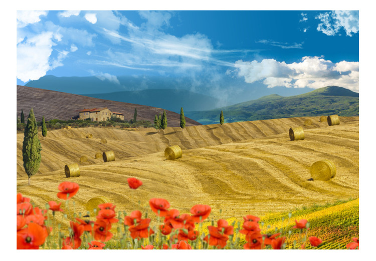 Fototapete Italienische Toskana - Landschaft mit Bäumen auf goldenen Wiesen 59852 additionalImage 1
