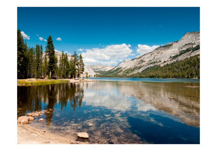 Fototapete Tenaya Lake - Yosemite National Park 60262 additionalImage 1