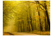 Vlies Fototapete Weg durch den Herbstwald - Wald mit Waldweg und gelben Baumblättern 60272 additionalThumb 1