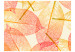 Fototapete Herbstblätter - Abstrakt mit bunten Blättern einfarbiger Hintergrund 60803 additionalThumb 1