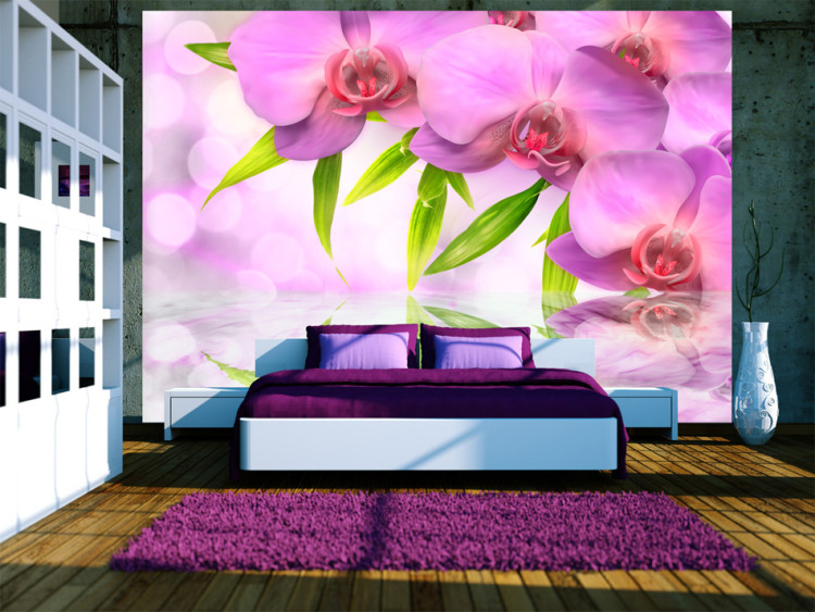 Fototapete Orchids in lilac colour 60223