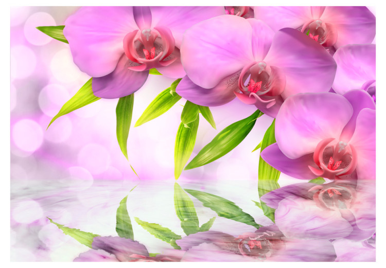 Fototapete Orchids in lilac colour 60223 additionalImage 1
