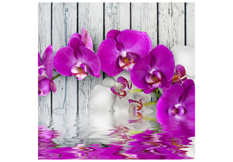 Fototapete Violet orchids with water reflexion 60233 additionalImage 1