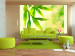 Vlies Fototapete Grüne Bambusblätter - Nahaufnahme der Pflanzen auf hellem Hintergrund 60433