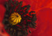 Vlies Fototapete Poppies on the wihite background 60643 additionalThumb 4