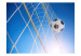 Vlies Fototapete Siegreiches Tor - Fußball im Netz auf Hintergrund des Himmels 61143 additionalThumb 1