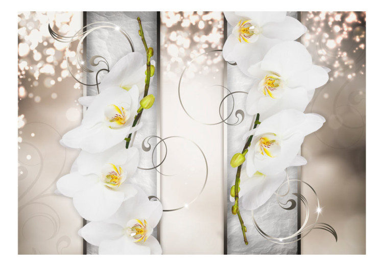 Vlies Fototapete Elegante Blumen - Abstraktion mit weißen Orchideen auf Muster 60183 additionalImage 1