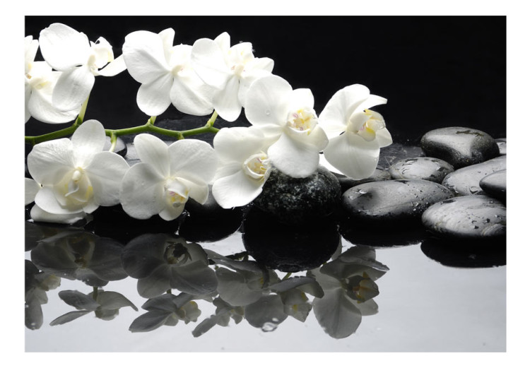 Vliestapete SPA Steine und Orchidee - natürliche Blumenmotive auf Schwarz 60193 additionalImage 1