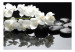 Vliestapete SPA Steine und Orchidee - natürliche Blumenmotive auf Schwarz 60193 additionalThumb 1