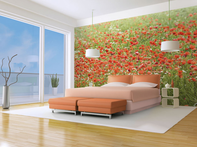 Vlies Fototapete Blumenwiese - grüne Wiese mit roten Mohnblumen im Zentrum 60393