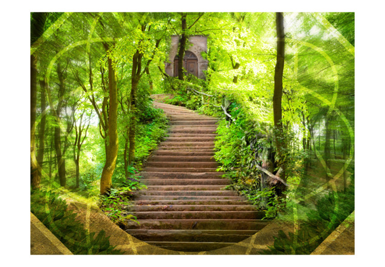 Fototapete Geheimnis des Waldes - Landschaft mit Treppen umgeben von Bäumen 60504 additionalImage 1