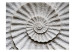 Fototapete Steinammonit - Abstraktion mit grau-weißer Muscheltextur vom Meer 61004 additionalThumb 1