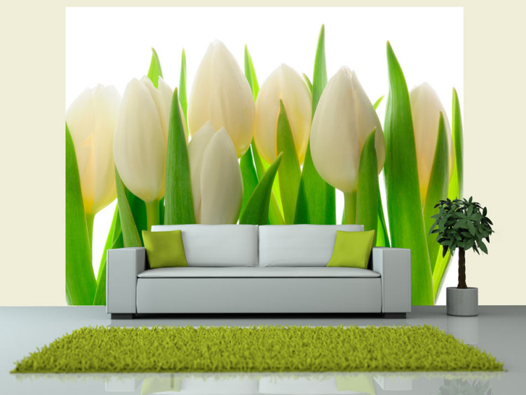 Vlies Fototapete Weiße Tulpen - natürlicher Pflanzenmotiv mit energiegeladenem Grün 60344