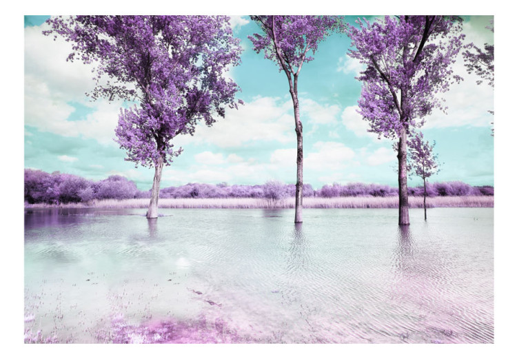Fototapete Lavendellandschaft - Bäume über Wasser im provenzalischen Stil 60444 additionalImage 1