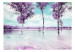 Fototapete Lavendellandschaft - Bäume über Wasser im provenzalischen Stil 60444 additionalThumb 1
