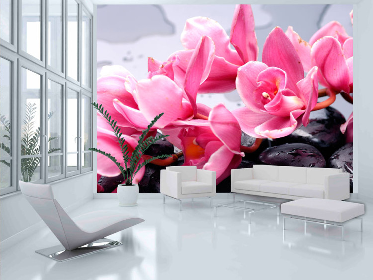 Vlies Fototapete Komposition - rosa Orchideenblüten auf nassen Zen-Steinen liegend 60184